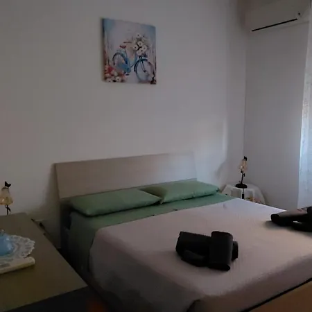 Il Tulipano