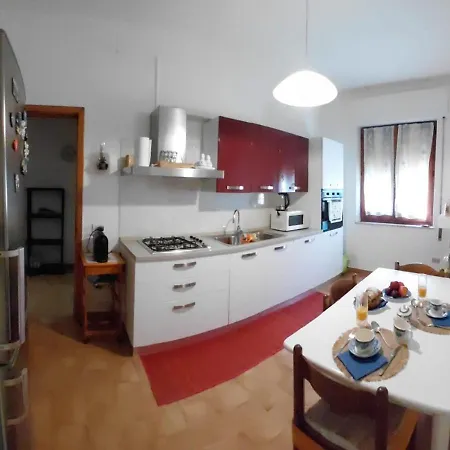 Il Tulipano *