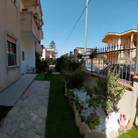 Il Tulipano